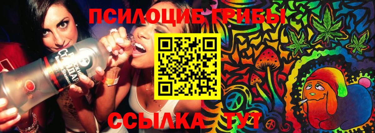 Псилоцибиновые грибы GOLDEN TEACHER  Псилоцибиновые грибы MAGIC MUSHROOMS  хочу   Вход с VPN  Касимов 